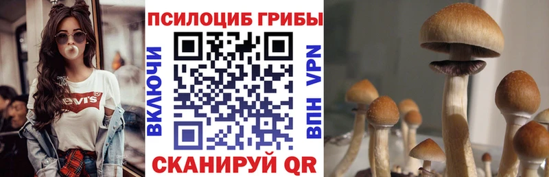 Купить закладки Ступино Галлюциногенные грибы ЛСД